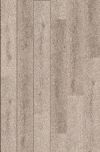 Fiji Plank DB Levuka